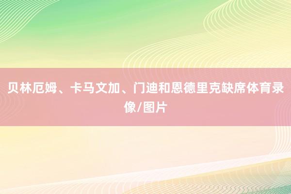 贝林厄姆、卡马文加、门迪和恩德里克缺席体育录像/图片