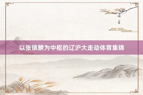 以张镇麟为中枢的辽沪大走动体育集锦