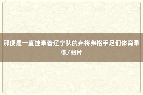 那便是一直挂牵着辽宁队的弃将弗格手足们体育录像/图片