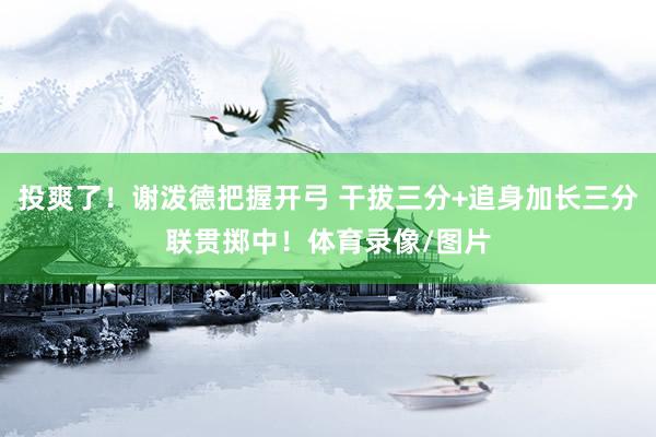 投爽了！谢泼德把握开弓 干拔三分+追身加长三分联贯掷中！体育录像/图片