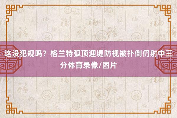 这没犯规吗？格兰特弧顶迎堤防视被扑倒仍射中三分体育录像/图片
