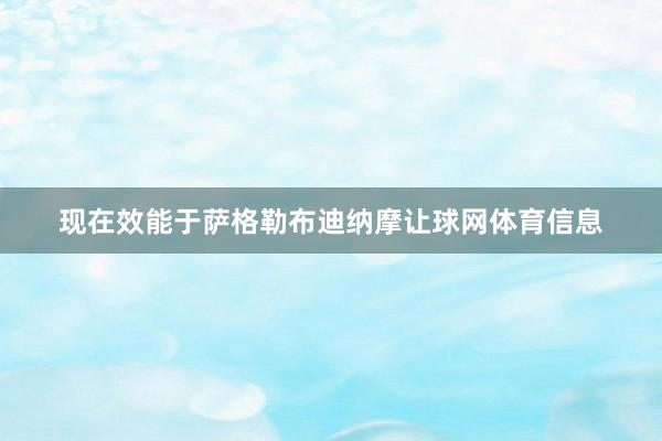 现在效能于萨格勒布迪纳摩让球网体育信息