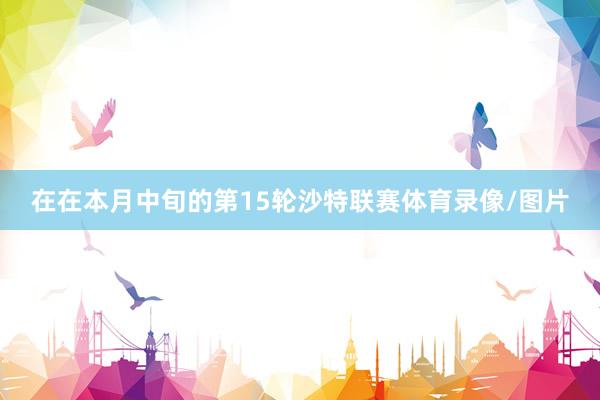 在在本月中旬的第15轮沙特联赛体育录像/图片