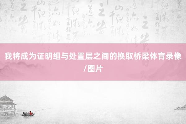 我将成为证明组与处置层之间的换取桥梁体育录像/图片