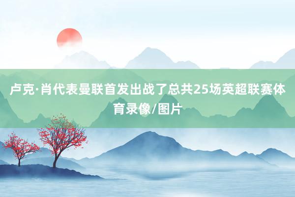 卢克·肖代表曼联首发出战了总共25场英超联赛体育录像/图片