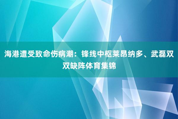 海港遭受致命伤病潮:锋线中枢莱昂纳多、武磊双双缺阵体育集锦