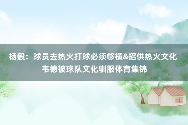 杨毅：球员去热火打球必须够横&招供热火文化 韦德被球队文化驯服体育集锦