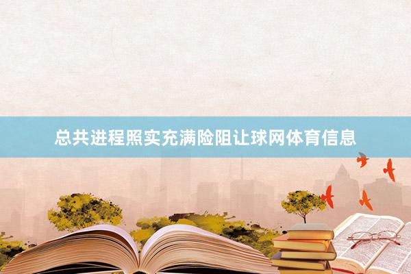 总共进程照实充满险阻让球网体育信息