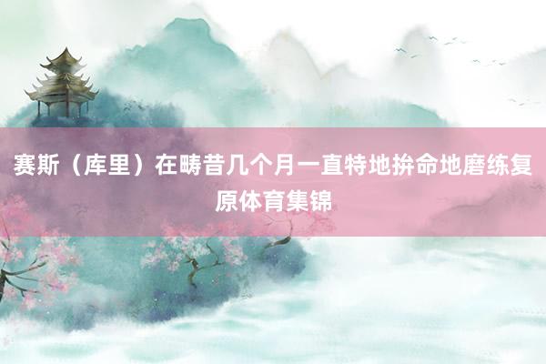 赛斯（库里）在畴昔几个月一直特地拚命地磨练复原体育集锦
