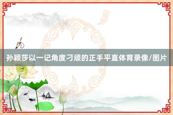 孙颖莎以一记角度刁顽的正手平直体育录像/图片
