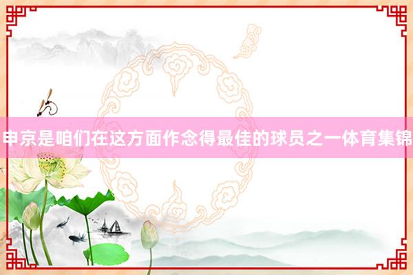 申京是咱们在这方面作念得最佳的球员之一体育集锦