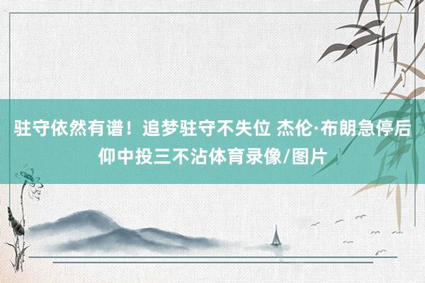 驻守依然有谱！追梦驻守不失位 杰伦·布朗急停后仰中投三不沾体育录像/图片