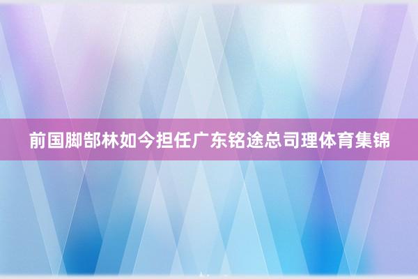 前国脚郜林如今担任广东铭途总司理体育集锦