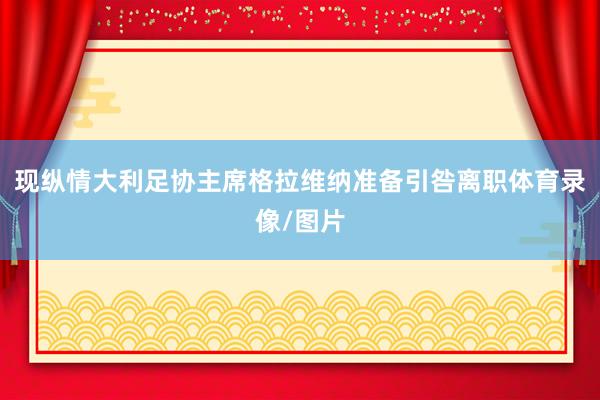 现纵情大利足协主席格拉维纳准备引咎离职体育录像/图片
