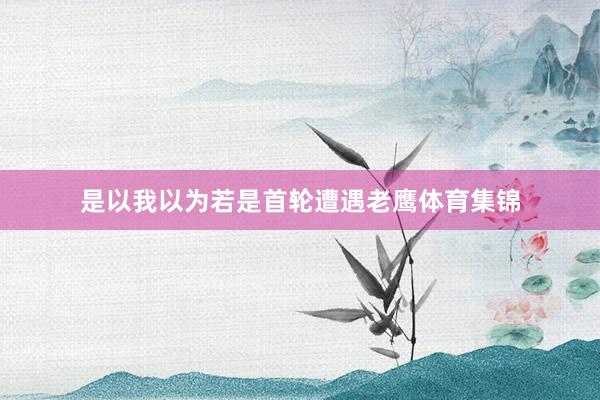 是以我以为若是首轮遭遇老鹰体育集锦