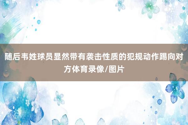 随后韦姓球员显然带有袭击性质的犯规动作踢向对方体育录像/图片