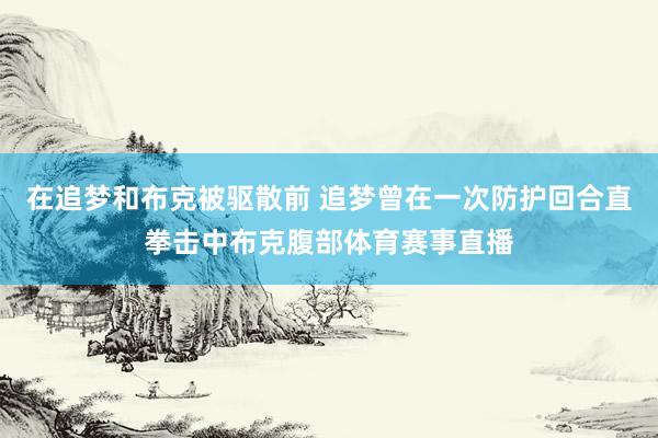 在追梦和布克被驱散前 追梦曾在一次防护回合直拳击中布克腹部体育赛事直播
