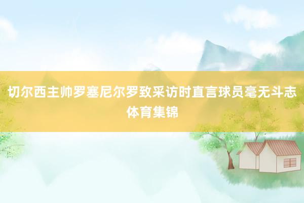 切尔西主帅罗塞尼尔罗致采访时直言球员毫无斗志体育集锦