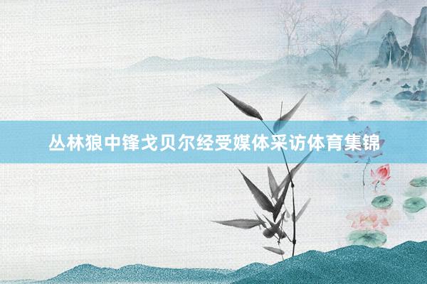 丛林狼中锋戈贝尔经受媒体采访体育集锦