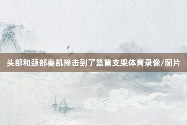 头部和颈部奏凯撞击到了篮筐支架体育录像/图片