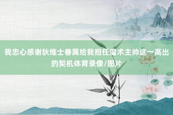 我忠心感谢狄维士眷属给我担任魔术主帅这一高出的契机体育录像/图片