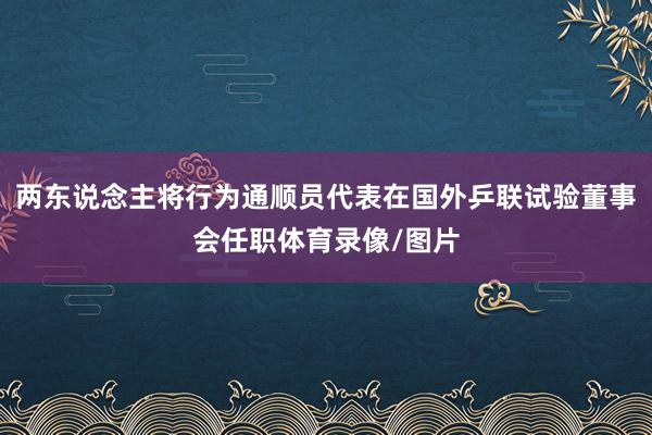 两东说念主将行为通顺员代表在国外乒联试验董事会任职体育录像/图片
