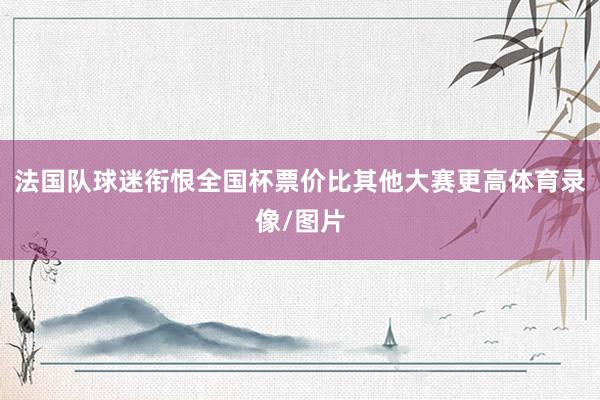 法国队球迷衔恨全国杯票价比其他大赛更高体育录像/图片